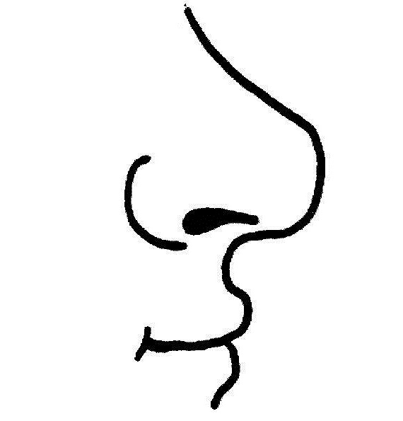 clipart images noses - photo #11